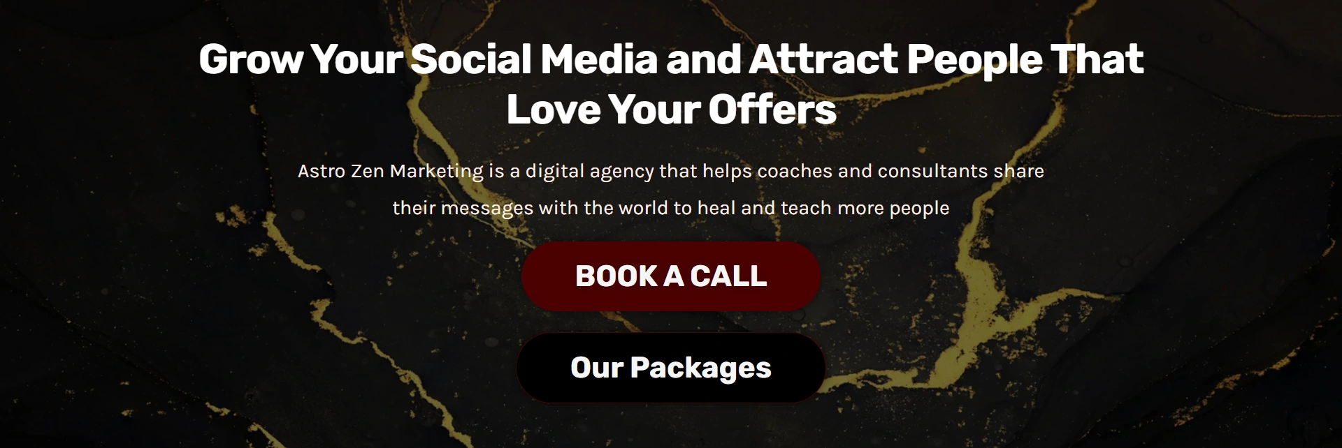 Screen capture from the Astro Zen Marketing landing page