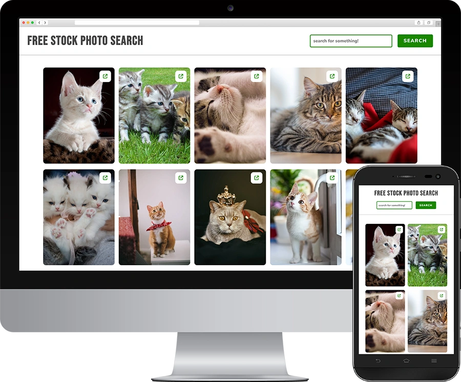 Free Stock Photo Search Portfolio Project